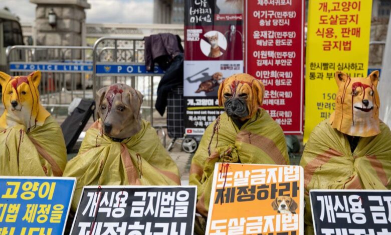 Contundente Reclamo Protestan Contra El Consumo De Carne De Perro En