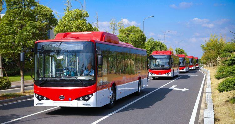 BYD de China conduce más a Chile con 100 autobuses eléctricos