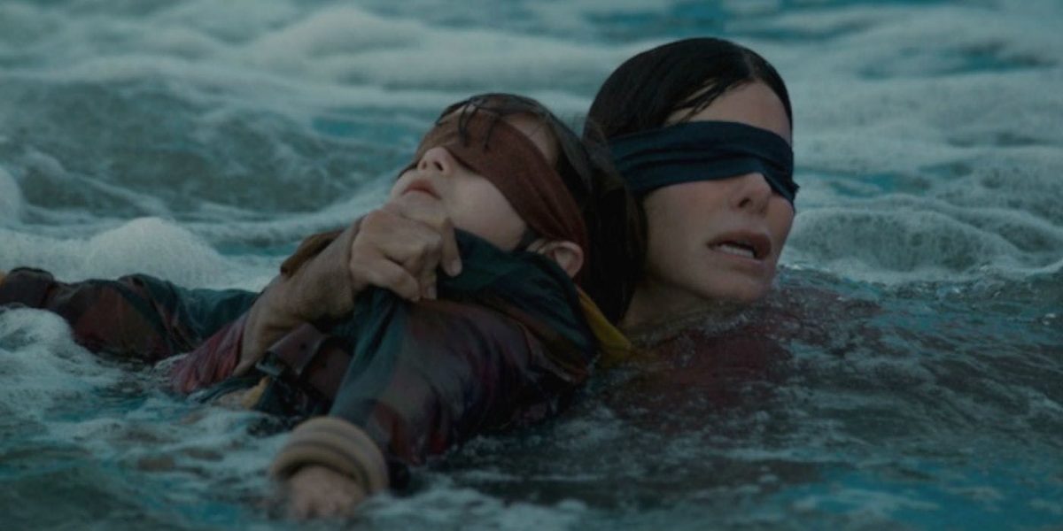 10 cosas que te perdiste en tu vista de Bird Box