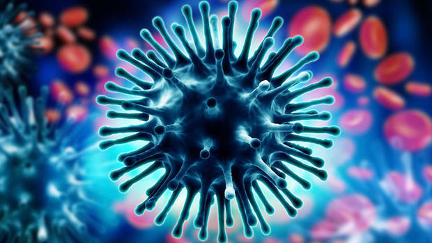 Gripe o influenza: por qué es tan peligrosa