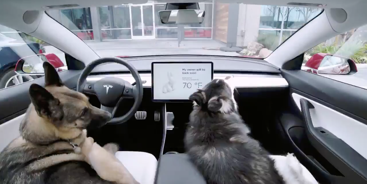 Tesla lanza el modo Centinela y el Modo Perro al Modelo 3