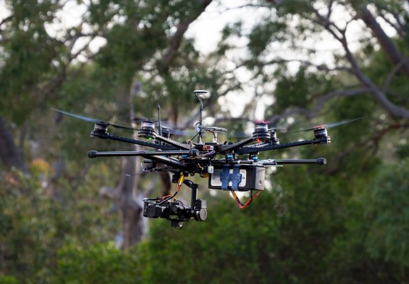 El avión no tripulado con detección de koala ayuda a controlar las cifras de los osos que caen