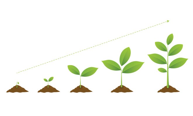 VCs tiene un creciente apetito por “AgriFood”