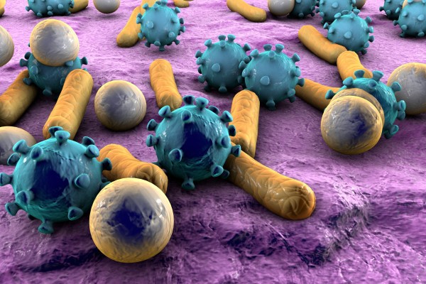 A medida que los investigadores buscan vínculos entre las bacterias y la salud humana, las nuevas empresas pueden beneficiarse