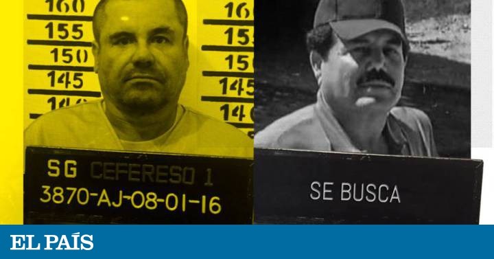 El Chapo y El Mayo: jefes de jefes