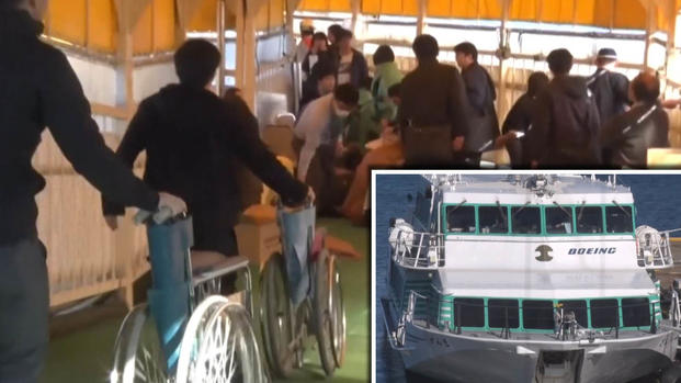 Animal marino choca con un ferry en Japón y le deja pequeño hoyo en popa