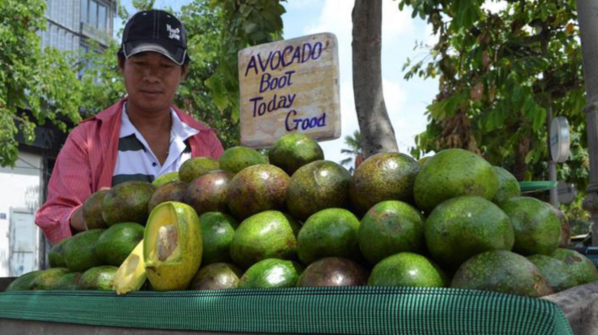 El país que quiere reemplazar al aguacate mexicano en EEUU