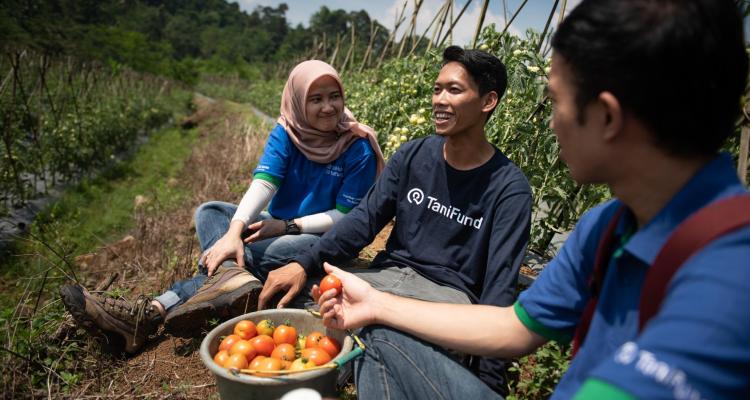 El startup de Agritech TaniGroup recauda $ 10 millones para ayudar a los agricultores de Indonesia a crecer