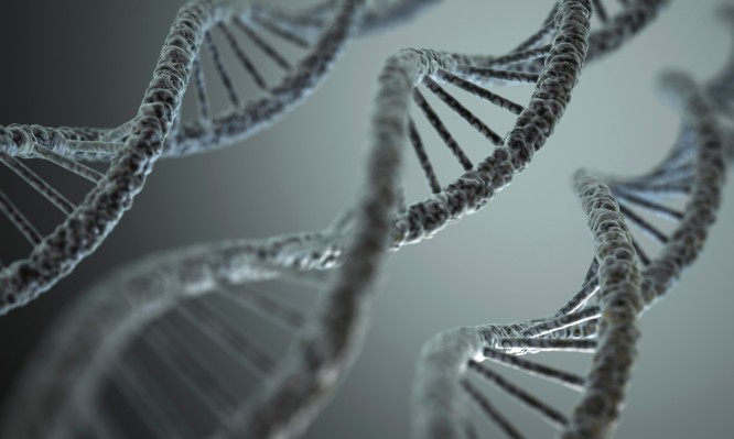 DNA Script recauda $ 38.5 millones para hacer que la producción de ADN sea más rápida y sencilla