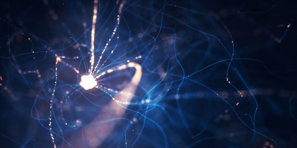 Los científicos descubrieron cómo hacer redes neuronales un 90 por ciento más pequeñas, pero igual de inteligentes