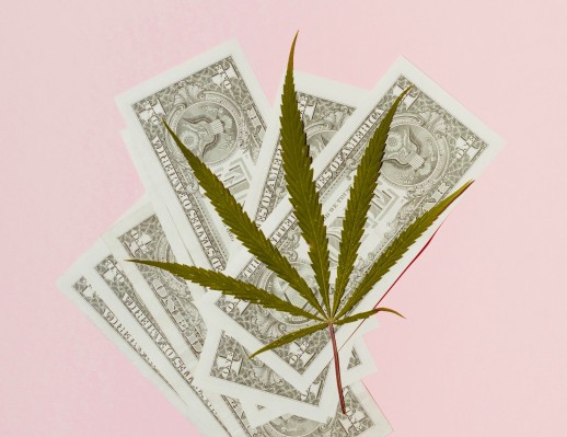 Startups semanales: los capitalistas de riesgo están locos por el cannabis