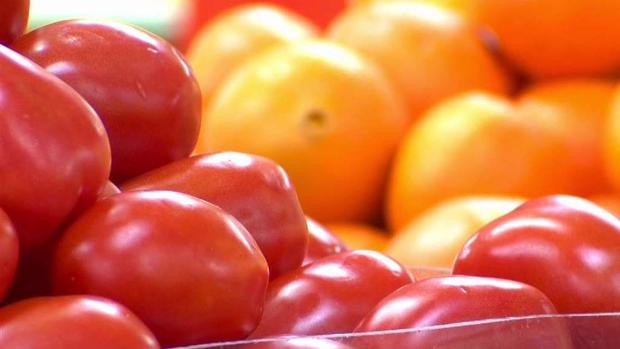 [TLMD - Dallas] Preocupación en el Metroplex por aumento en precio de los tomates