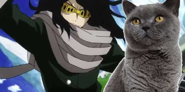 My Hero Academia se burla de la conexión de Kitty Cat de Aizawa