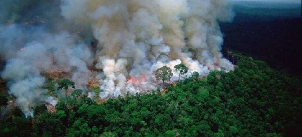 Amazonia lleva tres semanas en llamas; rompe récord | Video