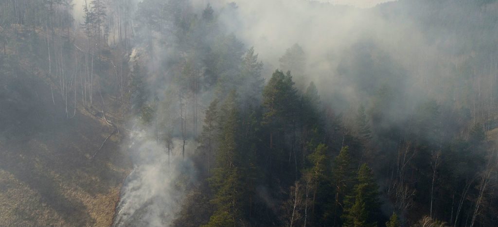 Arden tres millones de hectáreas de bosques en Siberia | Video