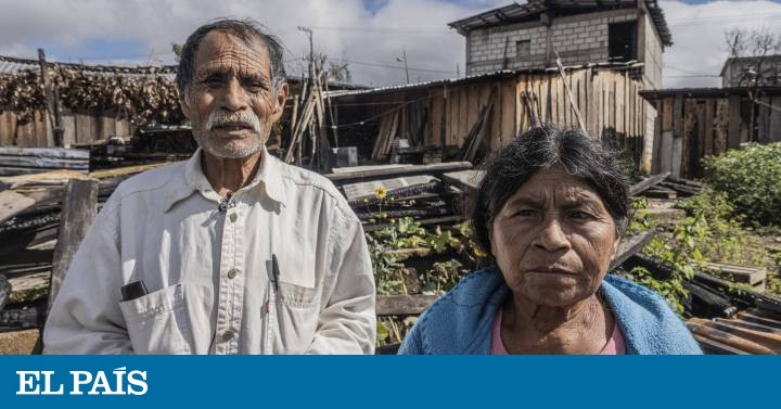El México más pobre aún espera el dinero de las subastas de los bienes del narco