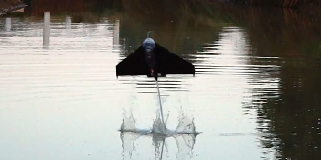 Este planeador es impulsado por una reacción química, no por un motor