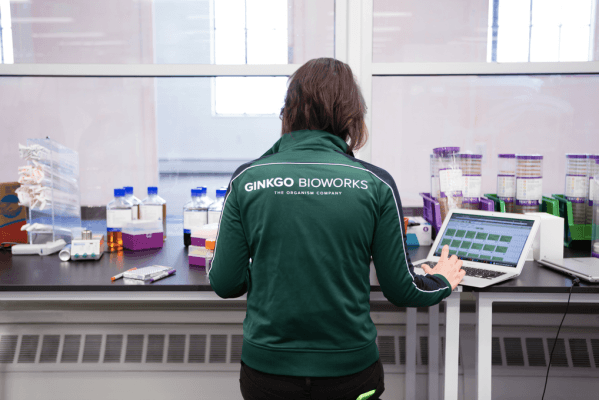 La tienda de desarrollo de Ginkgo Bioworks para programación genética ahora vale $ 4 mil millones