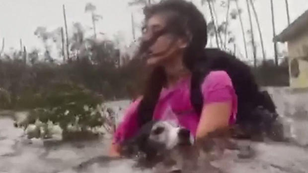 Dramático: luchan con la marejada para rescatar a sus perros