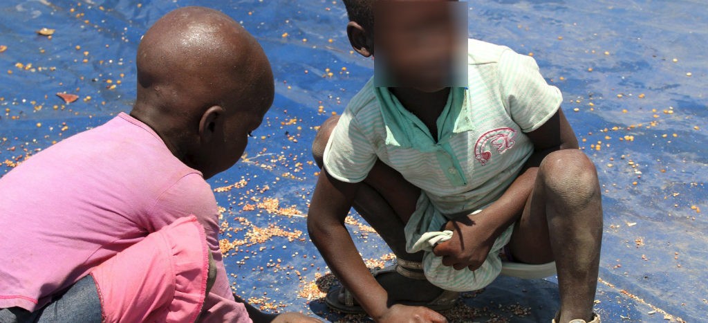 Urge ayuda alimentaria para 41 países que sufren hambre: FAO