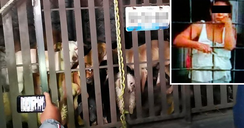 VIDEO: Mujer vendía carne de perro, descubren su refrigerador lleno de carne de perro, intentan lincharla vecinos