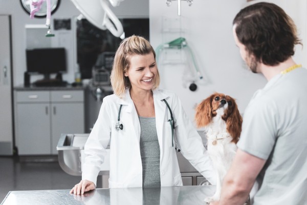 El nuevo lanzamiento de salud para mascotas Gallant quiere que almacene las células madre de su perro por $ 990