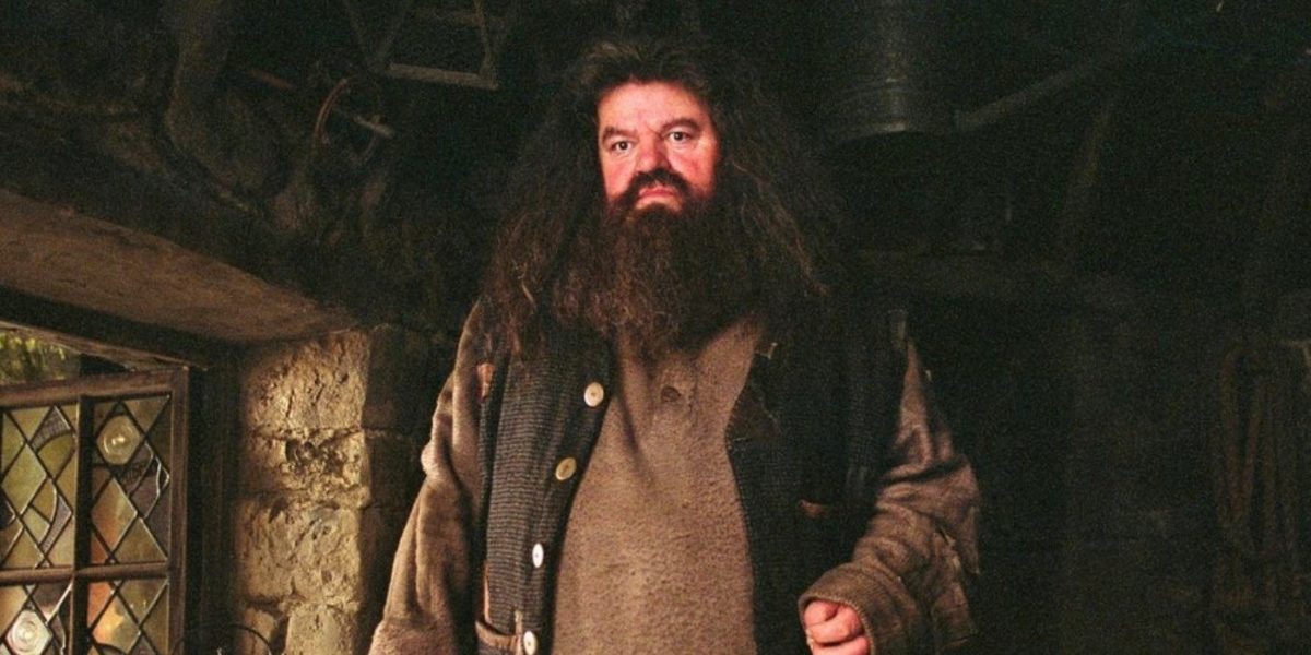 Harry Potter: las 10 mejores criaturas mágicas que Rubeus Hagrid nos presentó