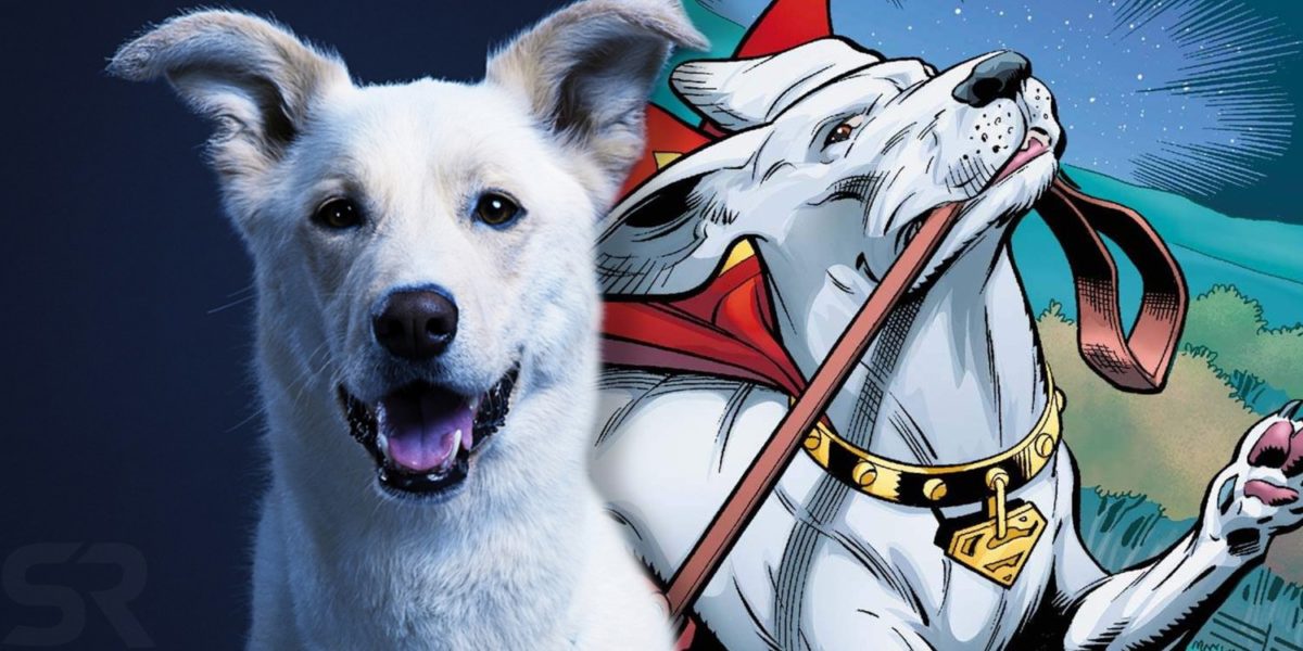 TITANES: Se explican los orígenes y poderes de Krypto The Superdog