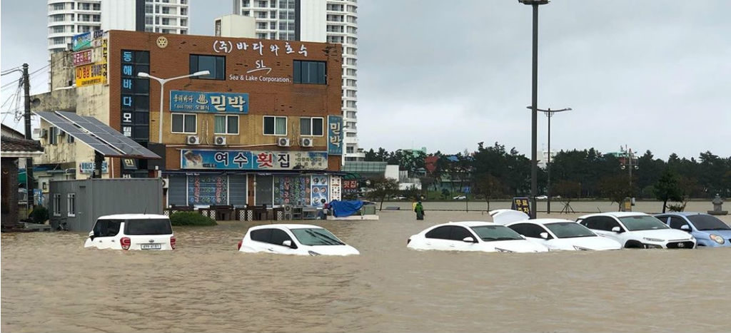 Tifón Mitag deja cuatro muertos a su paso por Corea del Sur | Video