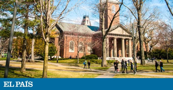 Secretos literarios de Harvard