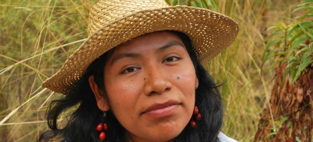Aparece con vida Irma Galindo, defensora de los bosques en Oaxaca