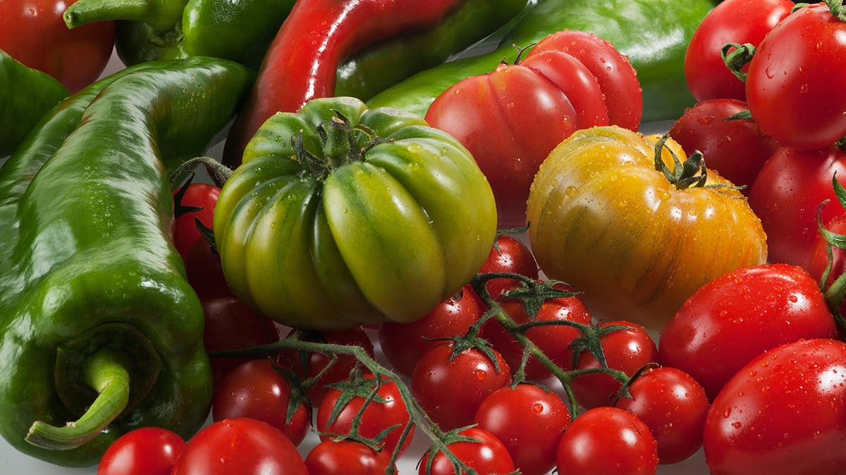 Restringirán importación de pimientos y tomates a EEUU