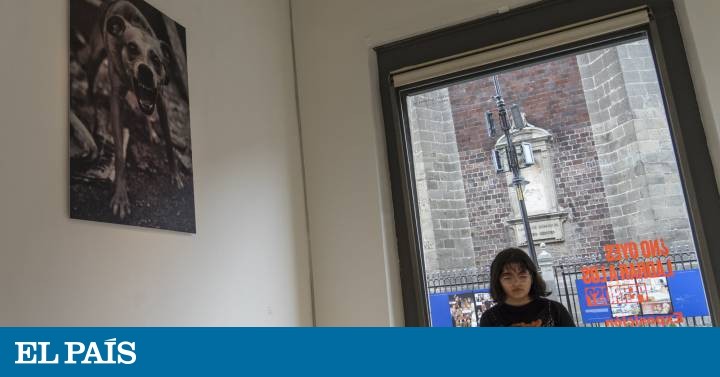 ‘¿No oyes ladrar a los perros?’, una exposición desde la periferia de Ciudad de México