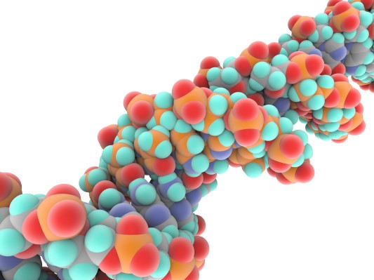 $ 125 millones para Inscripta pueden marcar el comienzo de la próxima ola de ingeniería genética