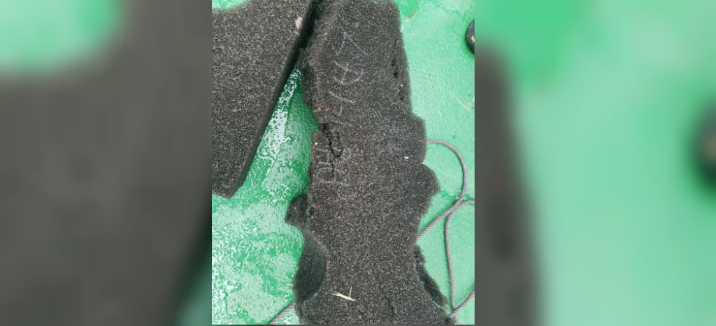 Hallan restos de esponja que podrían ser de avión chileno desaparecido