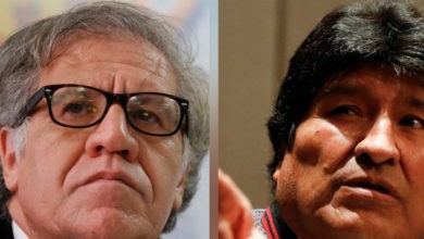 Informe final de la OEA: Manipulación dolosa en elecciones de Bolivia