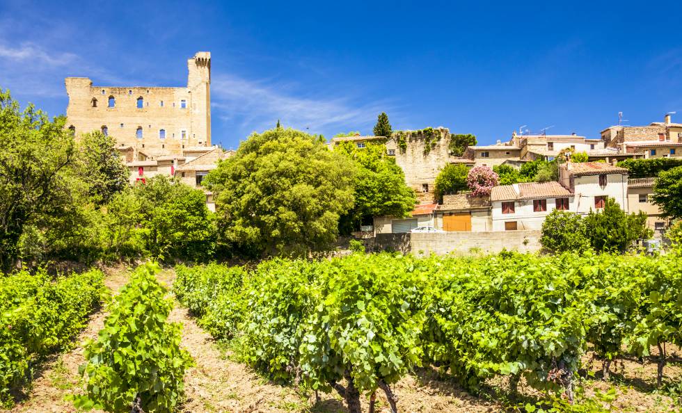 Castillo y viñedo en la localidad provenzana de Chateneuf-du-Pape.