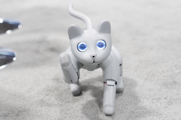 Conoce a MarsCat, un gato robot con mucho amor para dar y espacio para crecer