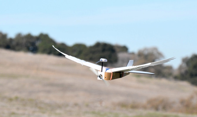 ‘PigeonBot’ acerca los robots voladores a las aves reales