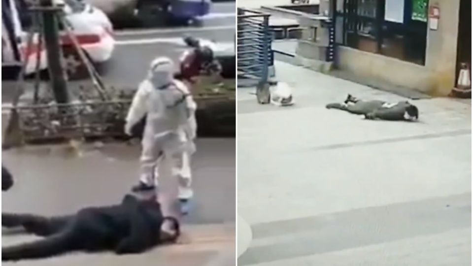 VIDEO: Contagiados de coronavirus caen muertos al suelo en plena calle