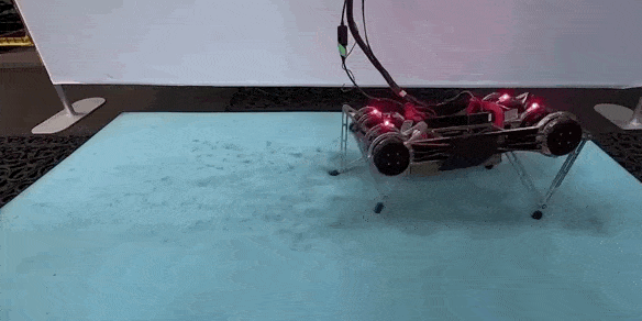 Cómo este robot se enseñó a caminar en unas pocas horas