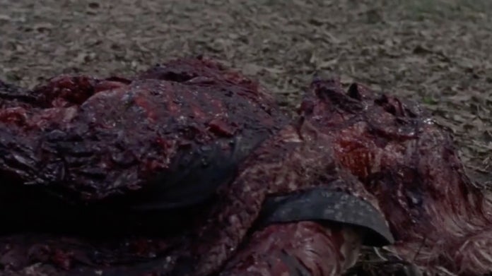 El cadáver de Walking Dead Michonne Andrea