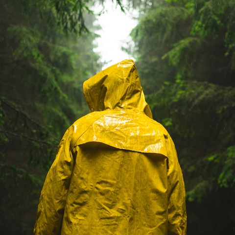 Vista trasera del hombre vestido con impermeable amarillo en el bosque durante la lluvia
