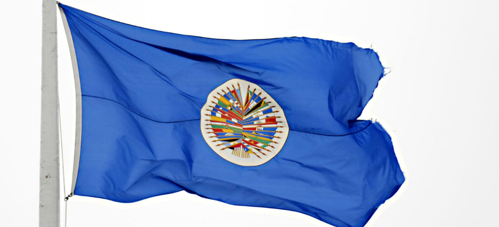 OEA actuó de forma ‘poco ética’ en revisión de elecciones bolivianas: CEPR