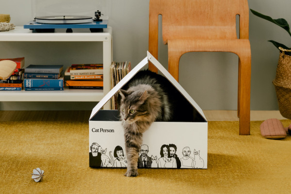 Respaldado por Harry’s Labs, Cat Person lanza su línea de productos para el cuidado de gatos