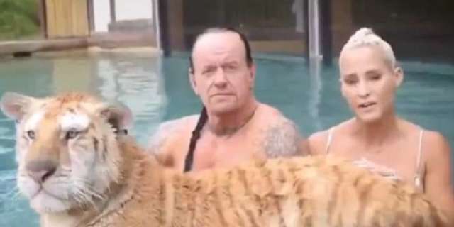 Se revela la extraña conexión del Rey Tigre de Netflix al extraño Tigre de Undertaker