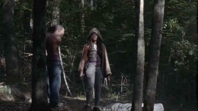 The Walking Dead Andrea Michonne