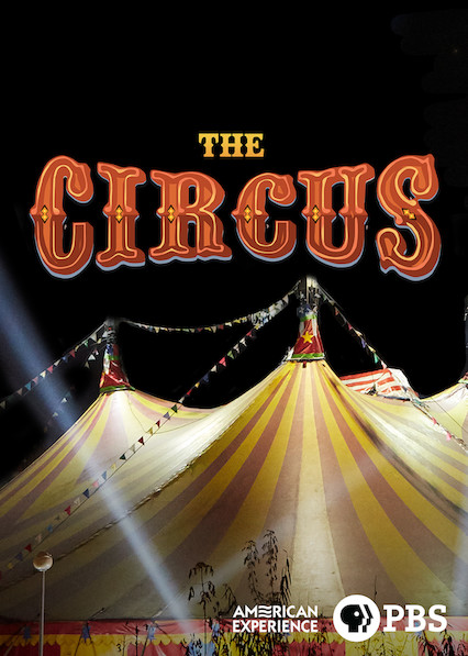 Experiencia americana: el circo