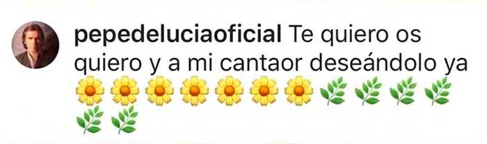 Pepe de Lucía ha realizado un comentario en su cuenta de Instagram que ha hecho arder la Red / Instagram