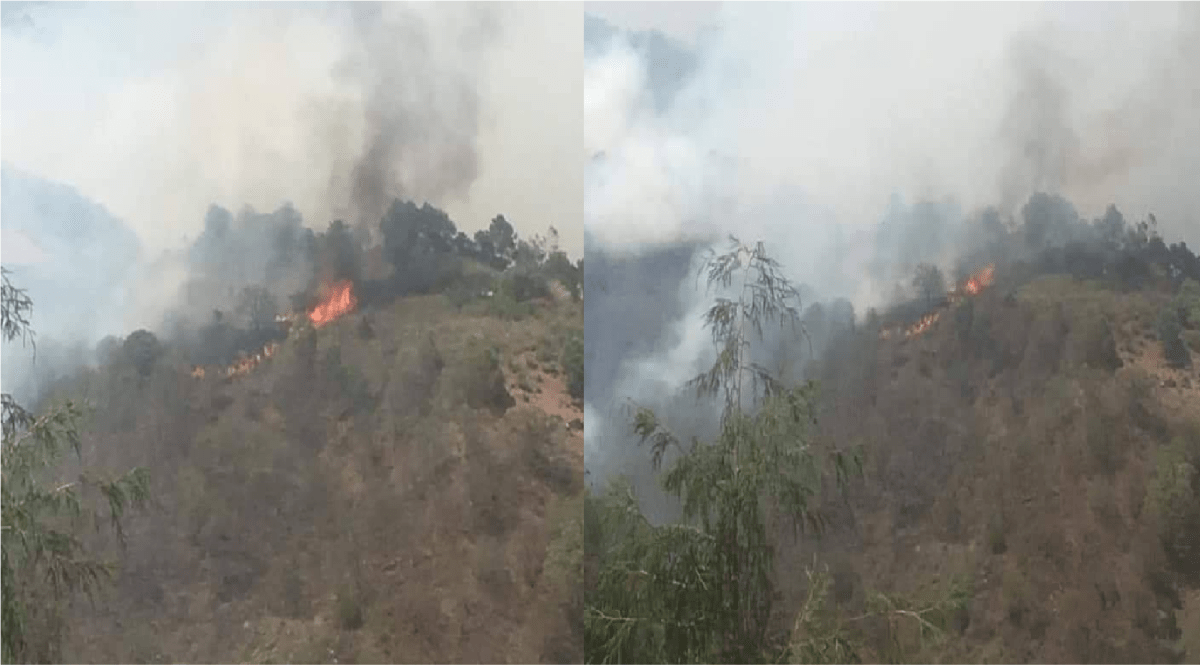 Incontrolable incendio en Pinal de Amoles, hay dos ancianos desaparecidos, incendio arrasa casas